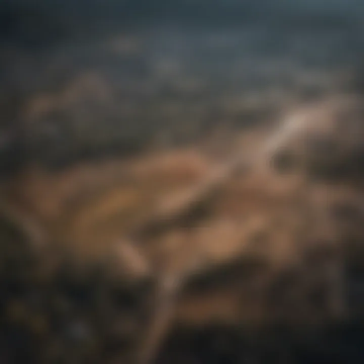 An aerial view of a surveyed land area showcasing clear boundaries.