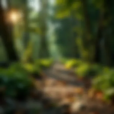 A visual representation of achieving financial independence