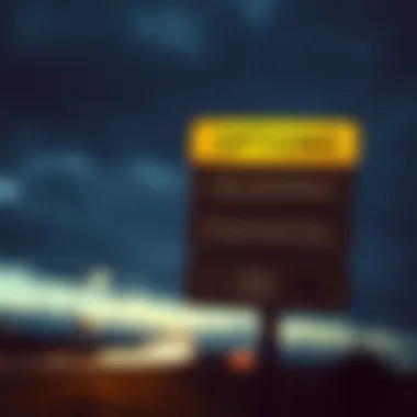 Navigating Your Financial Options A road sign indicating options and paths to financial relief