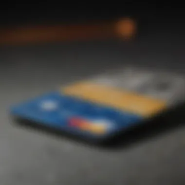 Fee Considerations for US Bank Premium Credit Card Comparative analysis of fees associated with premium cards