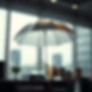 Financial Implications of Umbrella Insurance Infographic illustrating financial implications of umbrella insurance