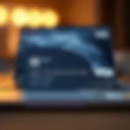 Visual representation of an authorized user feature on Apple Card